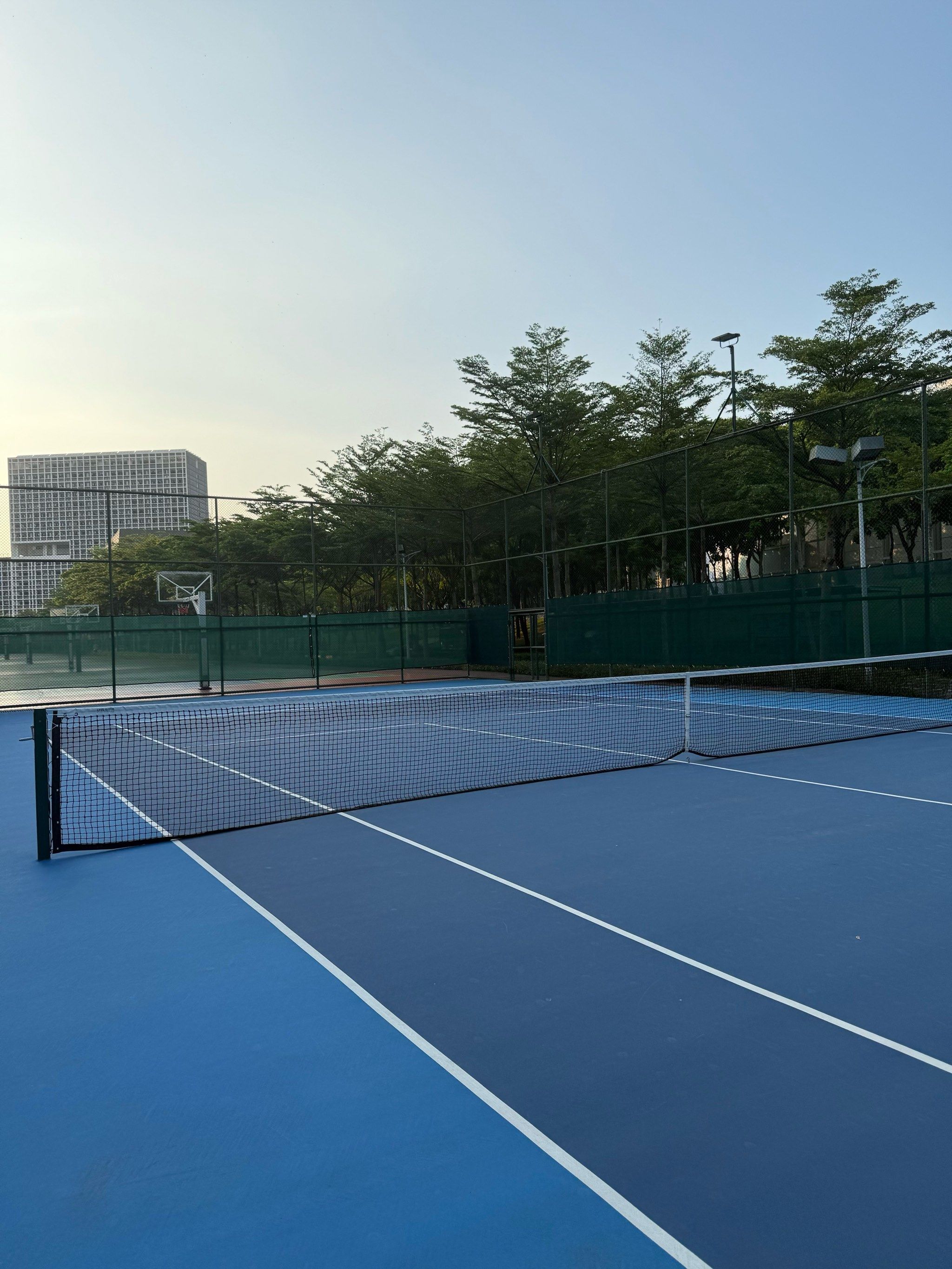 年成功举办 年成功举办